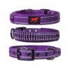 Heavy Duty Dog Collar with Metal Buckle and Adjustable Stainless Steel Hardware