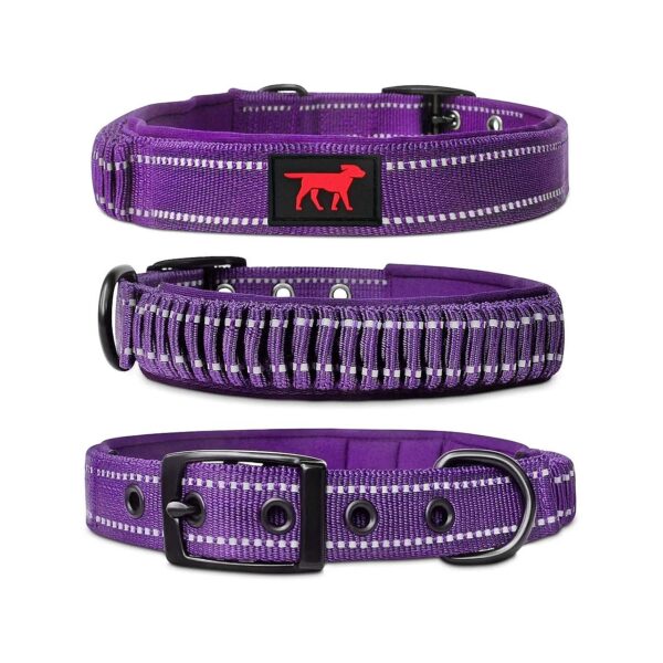 Heavy Duty Dog Collar with Metal Buckle and Adjustable Stainless Steel Hardware