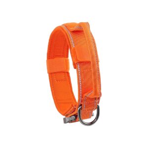 Heavy Duty Dog Collar with Metal Buckle and Control Handle for Medium Large Breeds