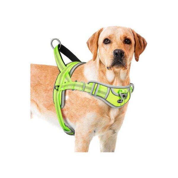 Heavy-Duty Dog Halter Harness for Large Dogs with Adjustable Clip and Top Handle