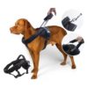 Heavy Duty Dog Harness for Large Dogs with Adjustable Handle