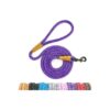 Heavy Duty Dog Leash with Snap Hook Training Lead for Medium Large and Small Dogs Purple