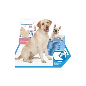 Heavy-Duty Dog Pee Pads with 4 Corners Fixed Stickers