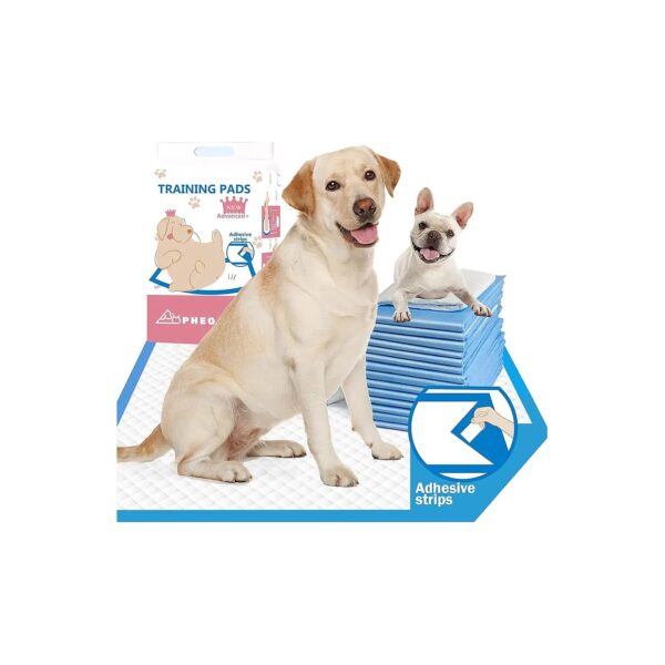 Heavy-Duty Dog Pee Pads with 4 Corners Fixed Stickers