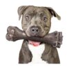 Heavy Duty Dog Toys with Real Bone Shape Design for Large Breed Aggressive Chewers