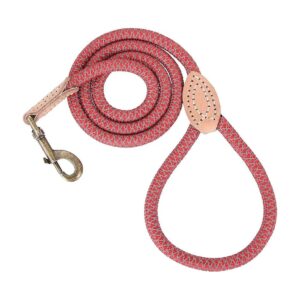 Heavy Duty Dog Training Leash with Nylon Rope and Leather Tip for All Breed Dogs