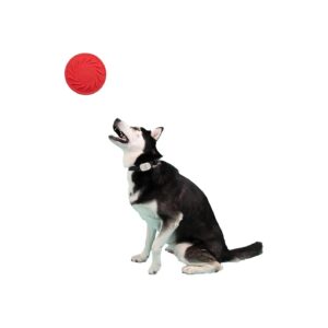 Heavy-Duty Flying Disc Dog Chew Toy for Long-Lasting Play