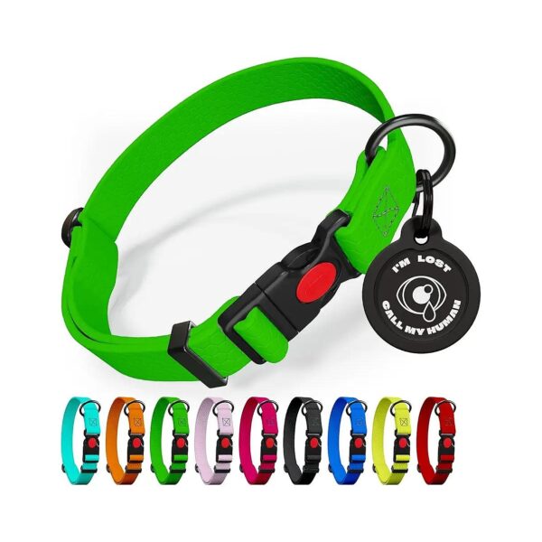 Heavy Duty Green Dog Collar with Safety Lock Buckle and Plastic Buckle for Large Dogs