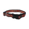 Heavy-Duty Houston Astros Licensed Dog Collar For Active Pets