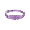 Heavy Duty Lavender Nylon Martingale with Premium Buckle for Training and Everyday Wear