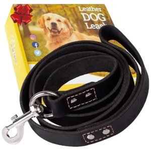 Heavy Duty Leather Dog Leash for Large and Extra Large Dogs