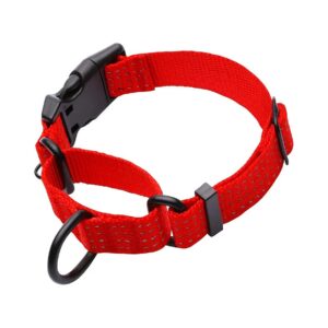 Heavy-Duty Martingale Collar for Large Dogs with Adjustable Reflective Straps