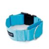 Heavy Duty Martingale Collar with Buckle for Large Dogs - 2 Inch Wide Turquoise Nylon