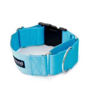 Heavy Duty Martingale Collar with Buckle for Large Dogs - 2 Inch Wide Turquoise Nylon