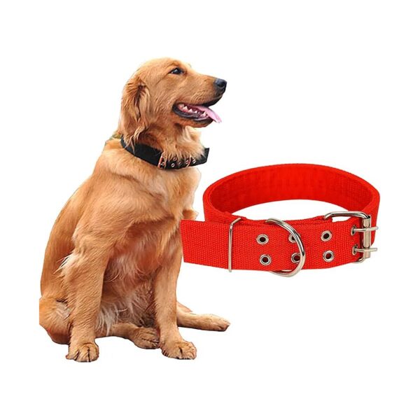 Heavy Duty Metal Buckle Nylon Dog Collar for Large XLarge Dogs