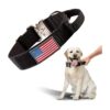 Heavy Duty Metal Buckle, and Luminous Patches for Medium to Large Dogs