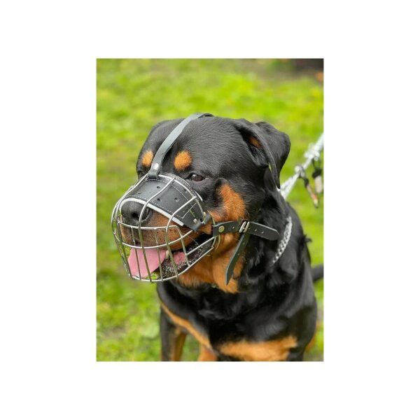 Heavy-Duty Metal Wire Muzzle Basket with Poly Rubber Coating for Large Breed Dogs