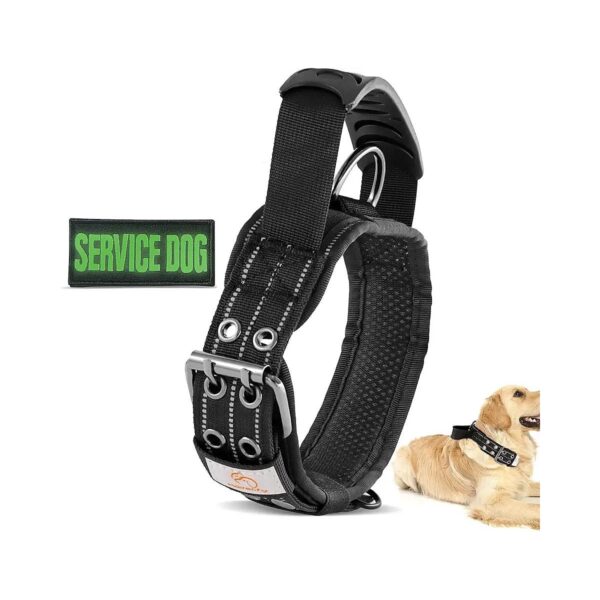 Heavy Duty Military Nylon Dog Collar with Adjustable Size for Medium Dogs