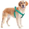 Heavy-Duty No Pull Dog Harness with Hi-Density Mesh for Small to Medium Dog Breeds