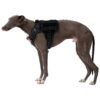 Heavy Duty No Pull Dog Harness with Metal Buckles and Adjustable Straps for Safe Training