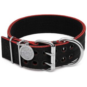 Heavy Duty Nylon Dog Collar for Large Dogs with Stainless Steel Hardware