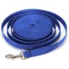 Heavy Duty Nylon Dog Leash for Training Agility Play Camping or Backyard