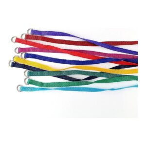 Heavy Duty Nylon Dog Slip Leash for Large and Small Dogs in a Pack of 10