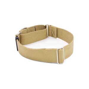 Heavy Duty Nylon Martingale Collar 5 Inch Width Coyote Tan for Large Dogs