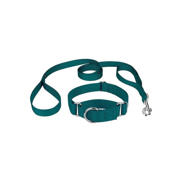 Heavy Duty Nylon Martingale Dog Collar and Dual Handle Leash Set Teal Small