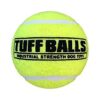 Heavy-Duty Plastic Tennis Balls for Stronger Ball Play