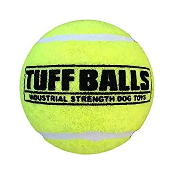 Heavy-Duty Plastic Tennis Balls for Stronger Ball Play