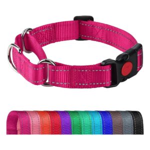 Heavy Duty Reflective Dog Collar with Quick Release Buckle for Medium Dogs