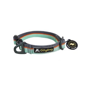 Heavy-Duty Surf-Inspired Dog Collar with Adjustable Length and Width for Most Dog Sizes