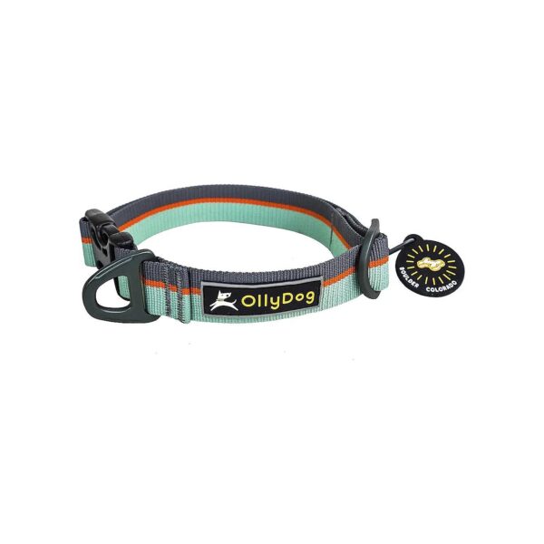 Heavy-Duty Surf-Inspired Dog Collar with Adjustable Length and Width for Most Dog Sizes