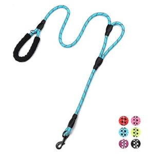 Heavy Duty Training Leash for Large and Medium Dogs