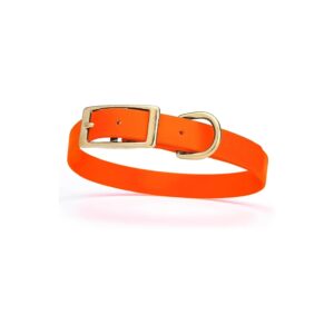 Heavy Duty Waterproof Dog Collar for Small, Medium, Large, and Giant Breeds