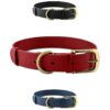 Heavy Duty Waterproof Dog Collar with Rust-Proof Hardware