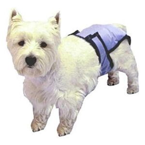 Heavy Duty X-Large Pooch Pants, No-Insert Super Absorbent Dog Diapers