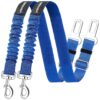 Heavy Duty and Durable Nylon Dog Seat Belt with Adjustable Straps and High Quality Buckle