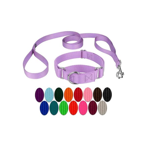 Heavyduty Nylon Dog Collar and Leash Set with Adjustable Neck Size and Dual Handles