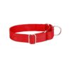 Heavyduty Nylon Martingale Dog Collar in Red for Medium Sized Breeds