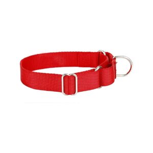 Heavyduty Nylon Martingale Dog Collar in Red for Medium Sized Breeds