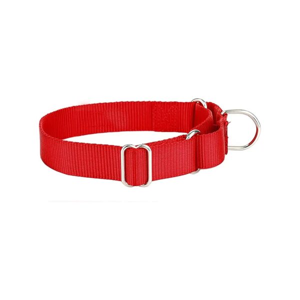 Heavyduty Nylon Martingale Dog Collar in Red for Medium Sized Breeds