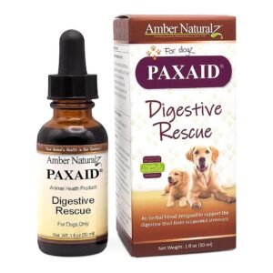 Herbal Supplement for Calming Dog Digestive Issues