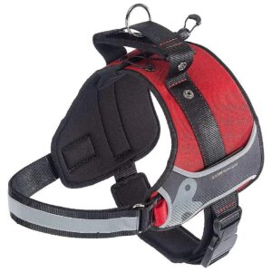 Hercules Large Breed Dog Harness with Scratch-Resistant Materials and Adjustable Chest