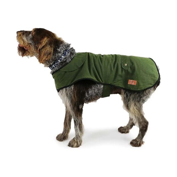 Heritage Dog Coat in Green Wax 5in with Classic Round Neck