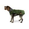 Heritage Green Wax Dog Coat for Senior Dogs