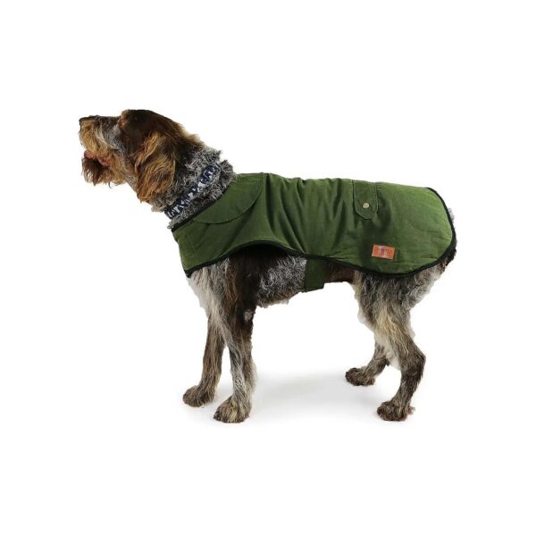 Heritage Green Wax Dog Coat for Senior Dogs