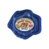 Hermit Crab Food and Housing Essentials in Assorted Neon Colors and Easy Clean