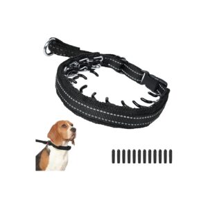 Hidden Martingale No Pull Collar for Small to Large Breed Dogs with Easy Adjustability